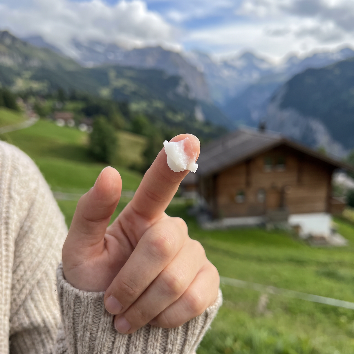 Natural Tallow Balm